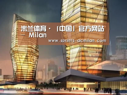 案例展示三