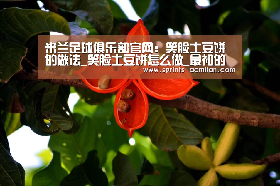 国际米兰官网