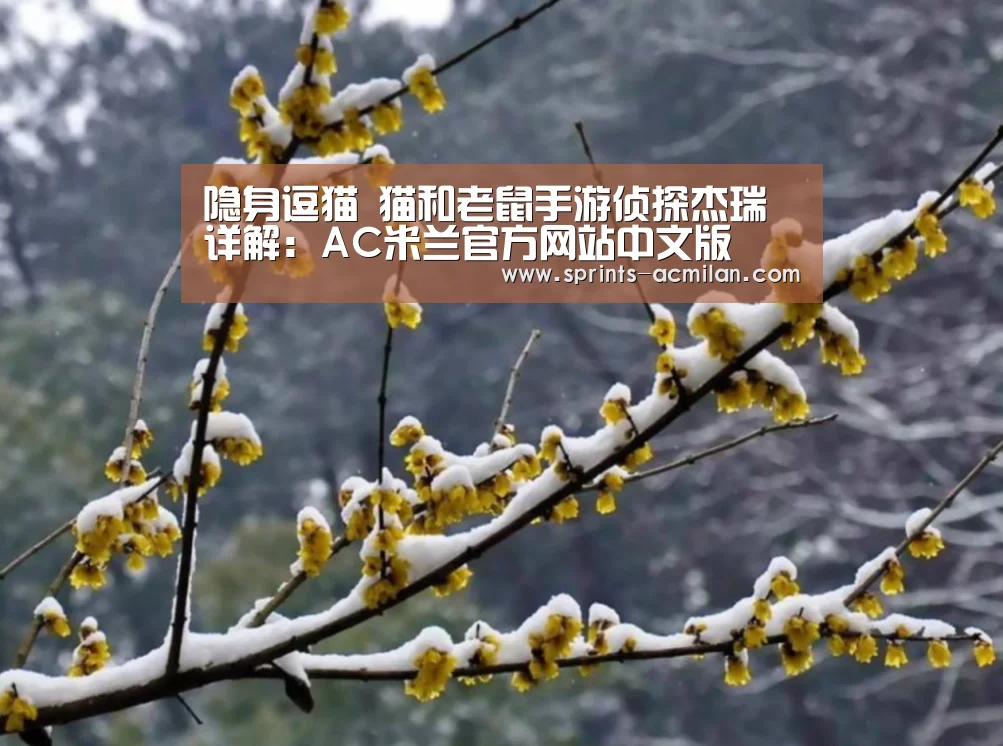 国际米兰官网