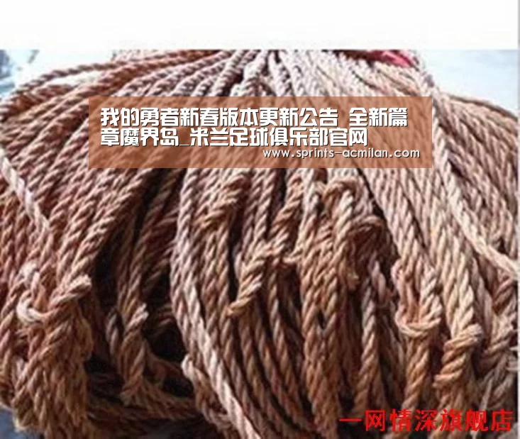 AC米兰官网中文版