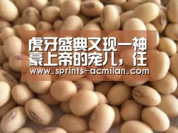 AC米兰官方网站中文版