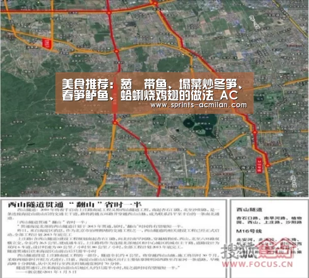 AC米兰官方网站中文版