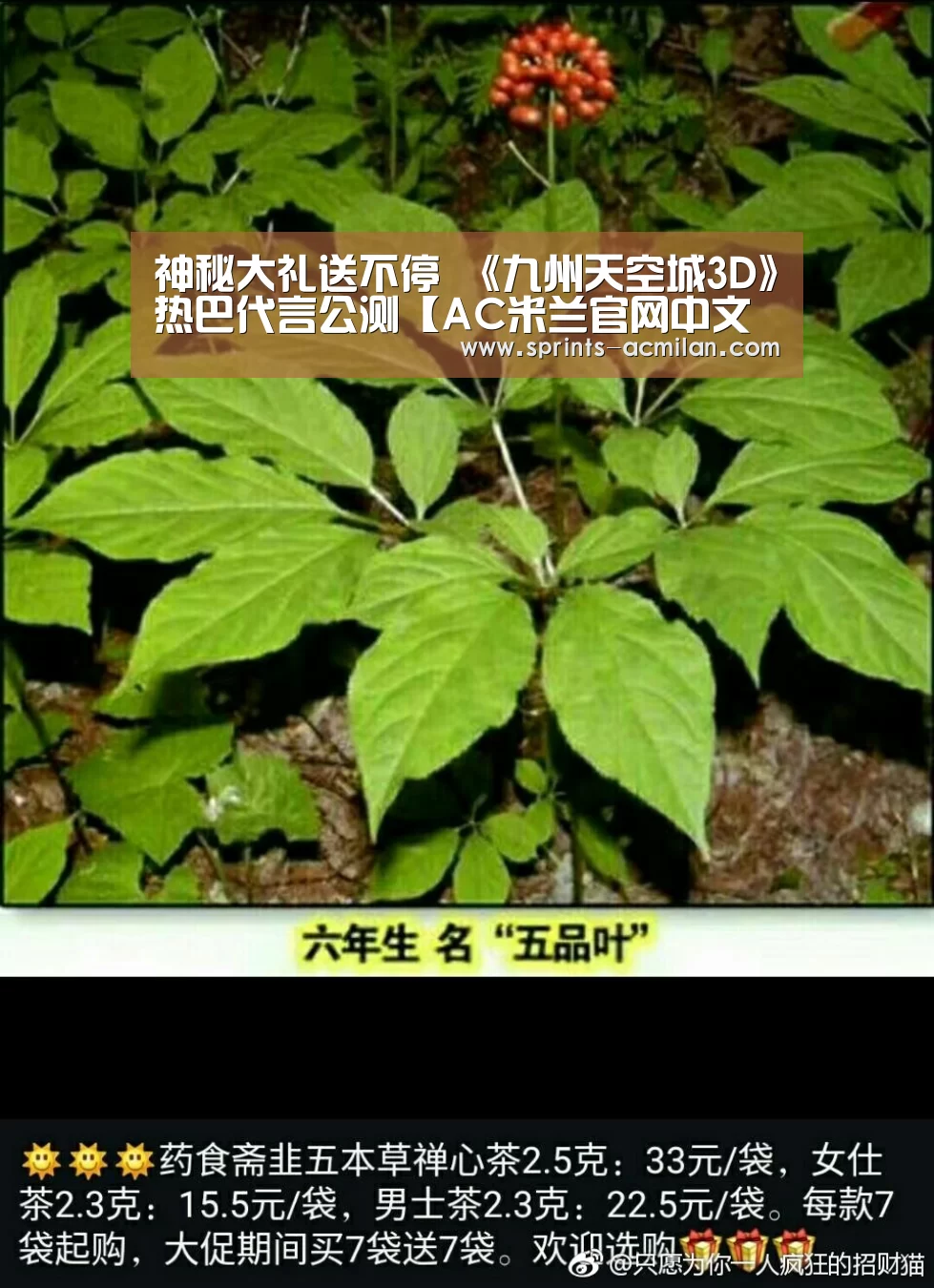AC米兰官网中文版