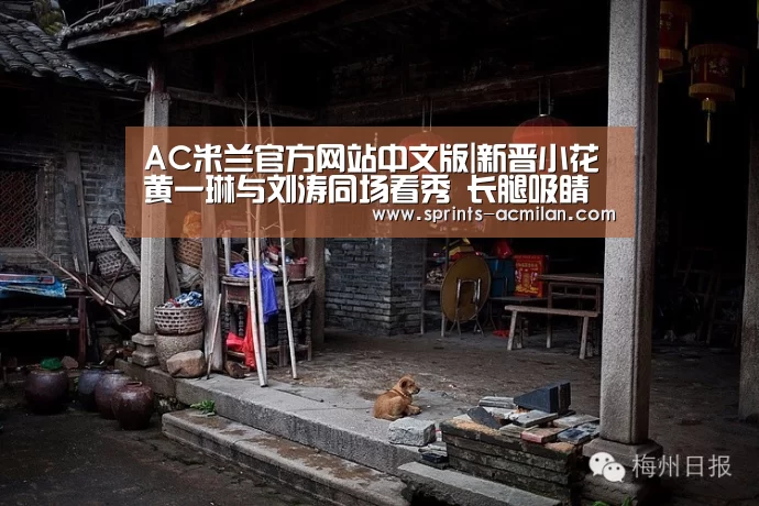 AC米兰官方网站中文版