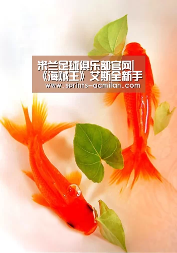 国际米兰官网