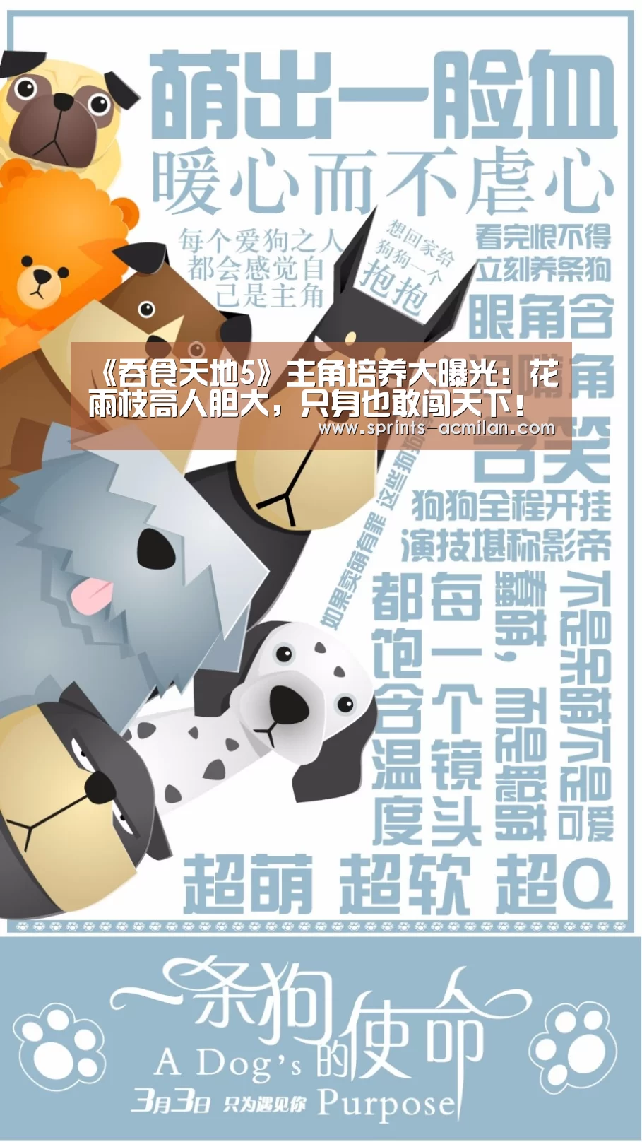 AC米兰官网中文版